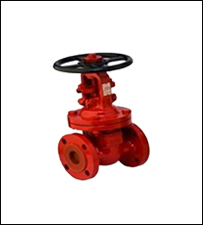 gate valve